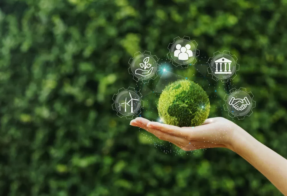 Our Environmental Policy
